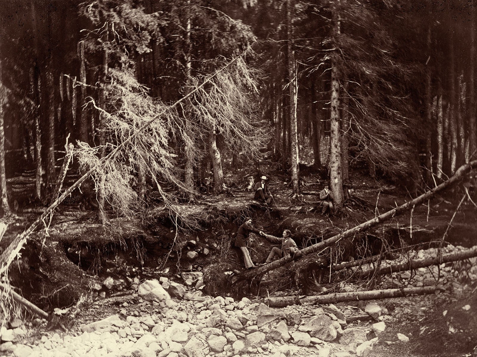 Tatry, Polana Strążyska, Hermann Vogel, 1871