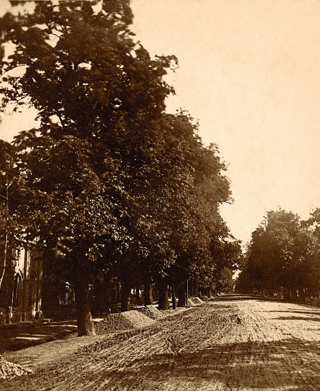 Warszawa, Aleje Ujazdowskie, Jan Mieczkowski, 1865