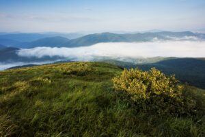 Letnie poranne mgły - widok z Tarnicy