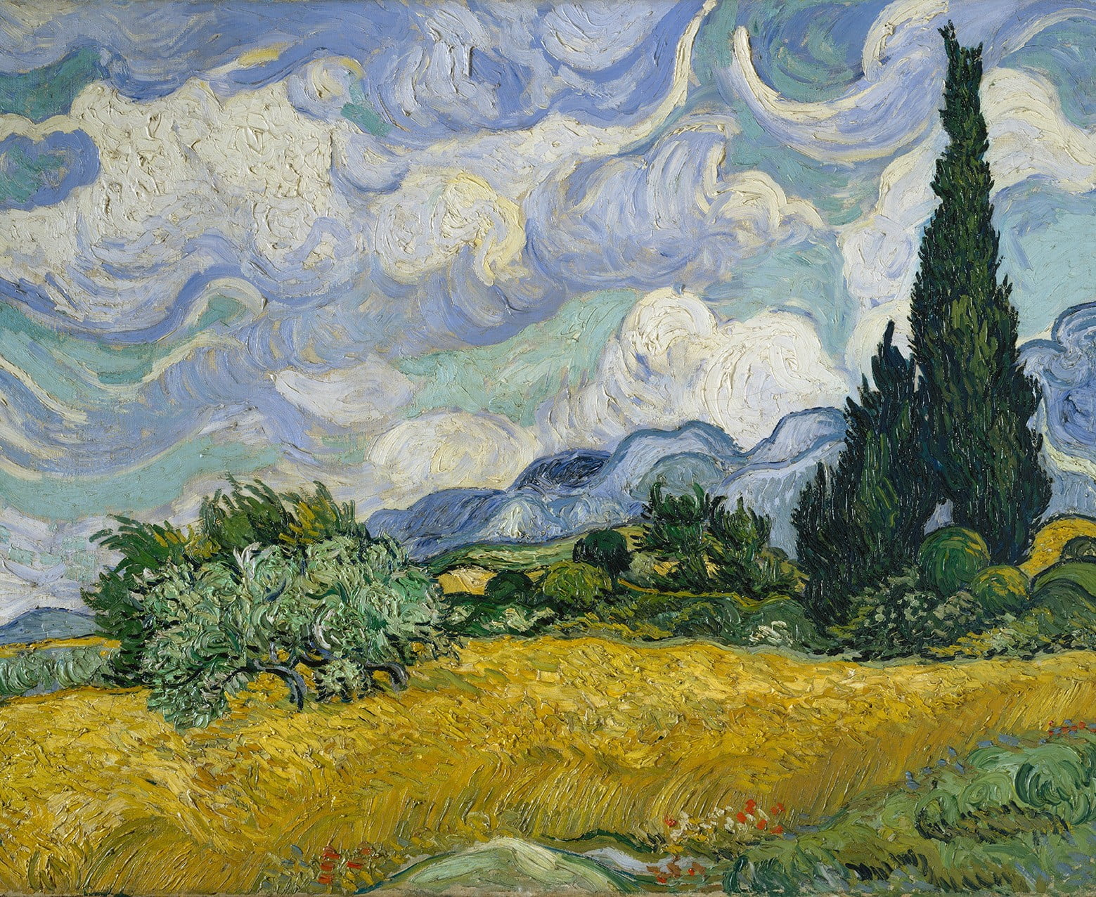 Vincent Van Gogh obraz Pole pszenicy z cyprysami